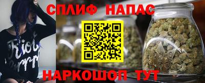 дживик Дубна