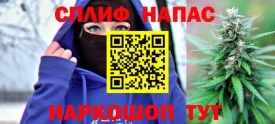 дживик Дубна