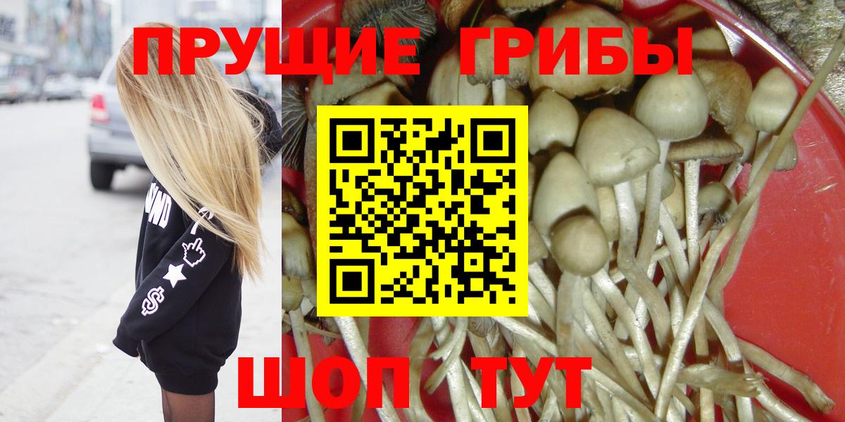 Галлюциногенные грибы Psilocybine cubensis  Вход с VPN  Псилоцибиновые грибы Cubensis  Нальчик 